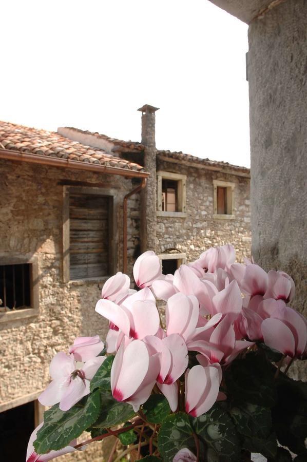 Albergo Diffuso Valcellina E Val Vajont In Erto Extérieur photo